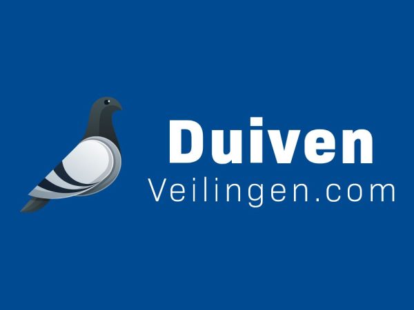 Evert Steenis Zoelen schenkt een bon voor een jonge duif, af te halen in overleg.