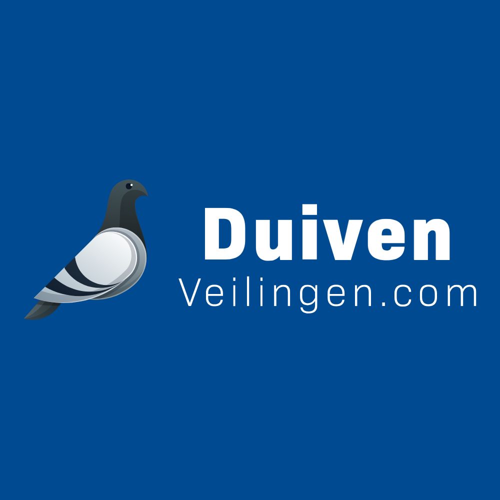 Absolute topverkoop voor duivenveilingen.com deel 3