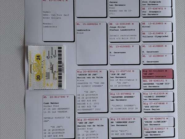 NL24-8087847 - doffer uit Gebr. van Toor/Lambrechts x ingeteeld ‘De Jan’