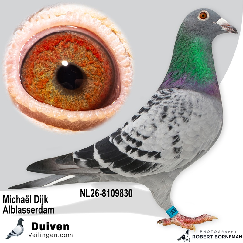 Verkoop van Michaël “Mike” Dijk legt de focus op kweek en One Loft Races - Deel 1
