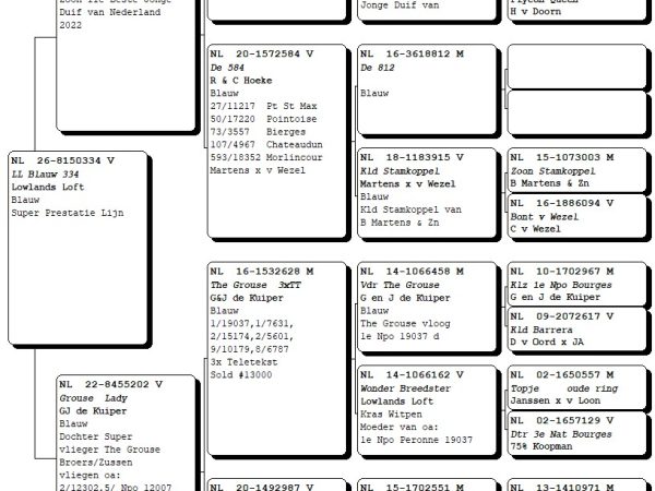 NL26-8150334 - Duivin uit de 11e Beste Jonge Duif van Nederland 2022 x GJ de Kuiper prestatielijn