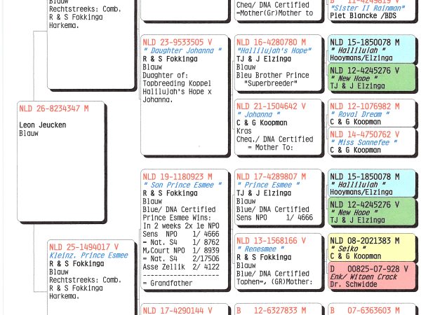 NLD 26-8234347 M – Blauwe doffer uit Pogačar-, Johanna- en Prince Esmee-lijnen