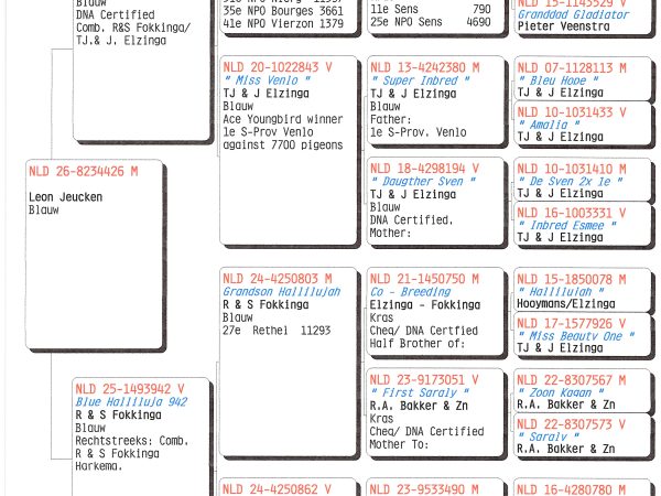 NLD 26-8234426 M – Blauwe doffer uit Sprintface-, Hallilujah- en Blue Harry-lijnen