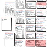 NLD 26-8234480 V – Kras duivin uit broer “Miss Vollering” x dochter “Strong Boy”
